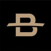 The Banking logo - Similar company to Broken Chains