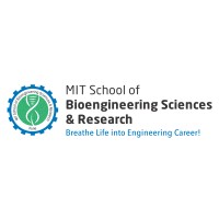 MIT ADTU School of Bioengineering Sciences & Research logo - Similar company to Mit Biotech Group
