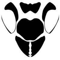 Wasp Ventures logo - Similar company to Venturerock