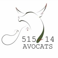 515-14 Avocats logo - Similar company to Océane Pilloix