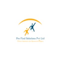 Profindsolutions logo - Similar company to Streamlyone