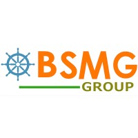 BSMG Shipping Group logo - Similar company to Mifitt Institute 🇲🇷