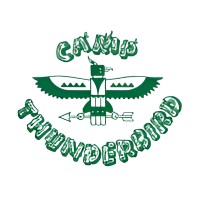 Camp Thunderbird For Boys and Girls logo - Similar company to Net Lease Advisory Group Of Marcus & Millichap