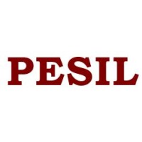 PESIL InfoSol Private Limited logo - Similar company to Bee Stripes