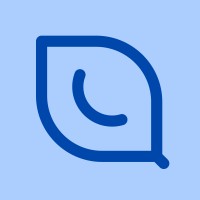 Laiyer logo - Similar company to Rips Technologies