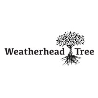 Weatherhead Tree Services logo - Similar company to Pickard Utility Services Group