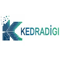 KEDRADIGI logo - Similar company to Thinkstart Australia