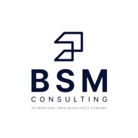 BSM Consulting (BR)