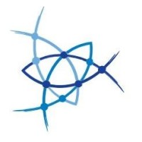 netconsIT.ch logo - Similar company to Sixowls Gmbh