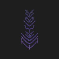 Illusion festival logo - Similar company to Curiosity Interactive