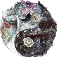 Our Silent Canvas logo - Similar company to Openmind Magazine