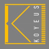 Koyeus LLC logo - Similar company to Vagus Services