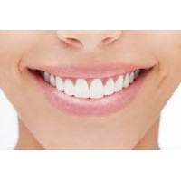 Secret River & City Of Trees Dental