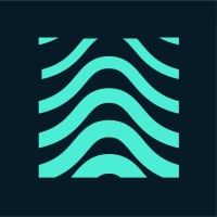 CyberWave logo - Similar company to Cyber Wave Llc
