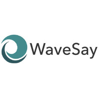 WaveSay, Inc. logo - Similar company to Grits Capital