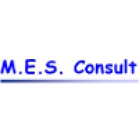 MES Consult srl logo - Similar company to Maths2Mind