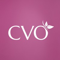 CVO ApS logo - Similar company to Stepto A/S