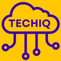 TechIQ logo - Similar company to Finestone