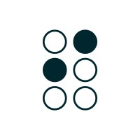 Braille logo - Similar company to Vips