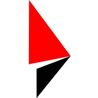 Real Image Media Solutions logo - Similar company to Camixel Technologies Private Limited