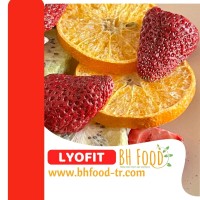 BH Food (Freeze-Dried Fruits and Vegetables) logo - Similar company to Bonny Bite
