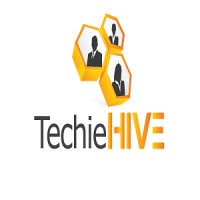 Techiehive logo - Similar company to Hmg It Solutions