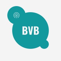 BVB Digital logo - Similar company to Adrenagy
