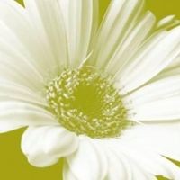 ASMATT LIMITED logo - Similar company to Versatile Demolition Limited