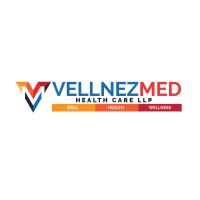 vellnezmed healthcare logo - Similar company to Datrive India Pvt Ltd