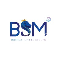 BSM Internationaal Groups logo - Similar company to Sarasvati Project