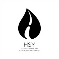 HSY Business Consulting logo - Similar company to Fin-Tech Corporate Solutions