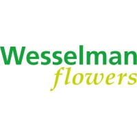 Wesselman Flowers B.V. logo - Similar company to Yeald