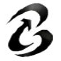 Boss Trader logo - Similar company to Bora Voar Cast
