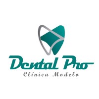 Dental Pro logo - Similar company to Natalfilm - Bolsas Personalizadas