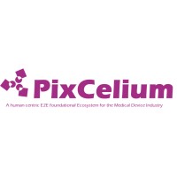 PixCelium logo - Similar company to Outcomeedge