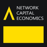 Network Capital Economics logo - Similar company to Economics Explored