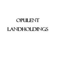 Opulent Landholdings, LLC logo - Similar company to Fba Alternative Dispute Resolution Section