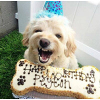 TheDogBakery logo - Similar company to Strataer