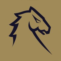 Yıldız Stallions logo - Similar company to Koç Rams