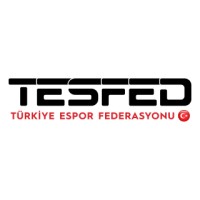 Turkish E-Sports Federation logo - Similar company to Setup Bilişim