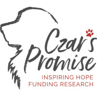 Czar'S Promise