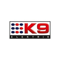 K9 ELECTRICALS PVT LTD logo - Similar company to Seion Electricals