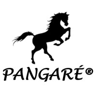 Pangaré Paraguay logo - Similar company to Goon Marketing & Eventos