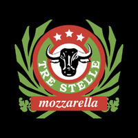 CASEIFICIO TRE STELLE S.R.L. logo - Similar company to Caseificio Altalat