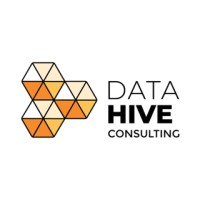 Data Hive Consulting