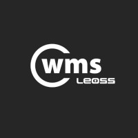 LEOSS WMS logo - Similar company to Leoss D.O.O.