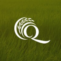 Qidhan logo - Similar company to Work Together