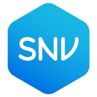 SNV logo - Similar company to 2Scale