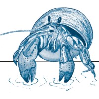 BlueShore Engineering LLC logo - Similar company to Ise Structural Engineers