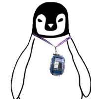 Brandco Connected logo - Similar company to Virtual Crr Inc.